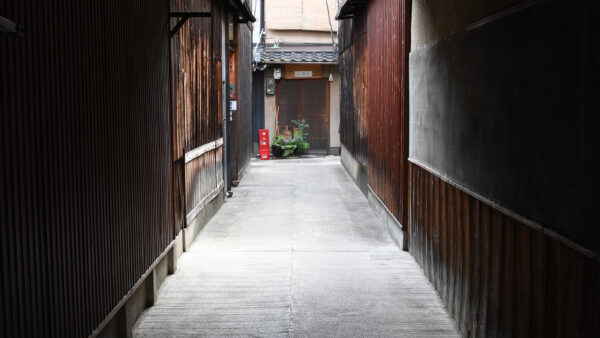everyday[Higashiyama Weather] A stroll through Furumonzen-dori in springeveryday